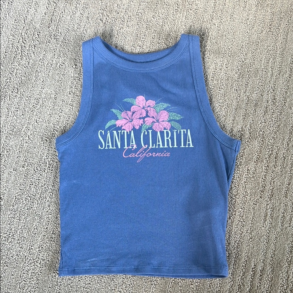 Hollister Blue Santa Clarita Tank Top